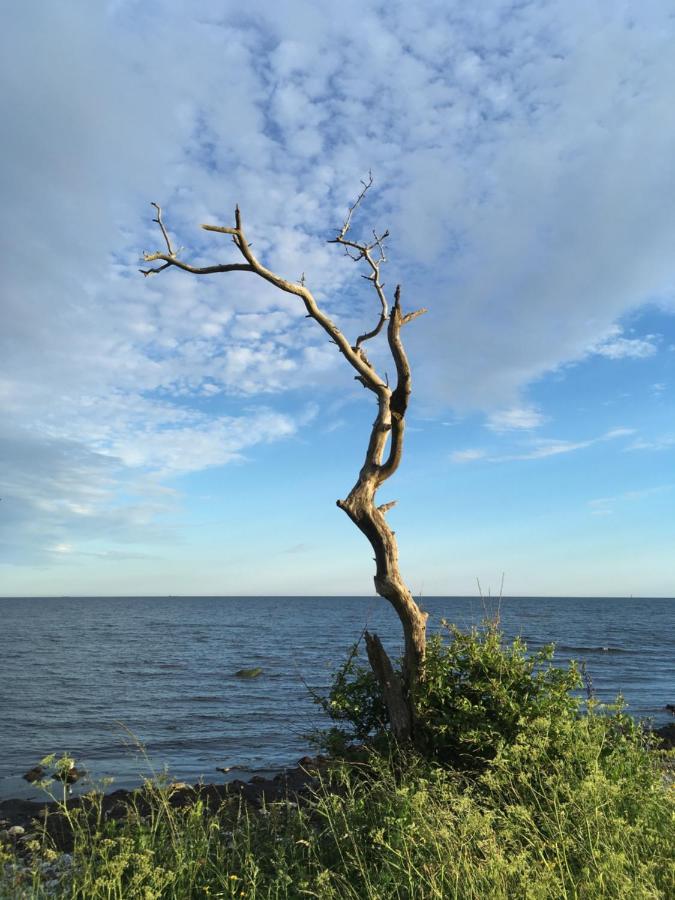 Rum Pa Landet Klagstorp エクステリア 写真